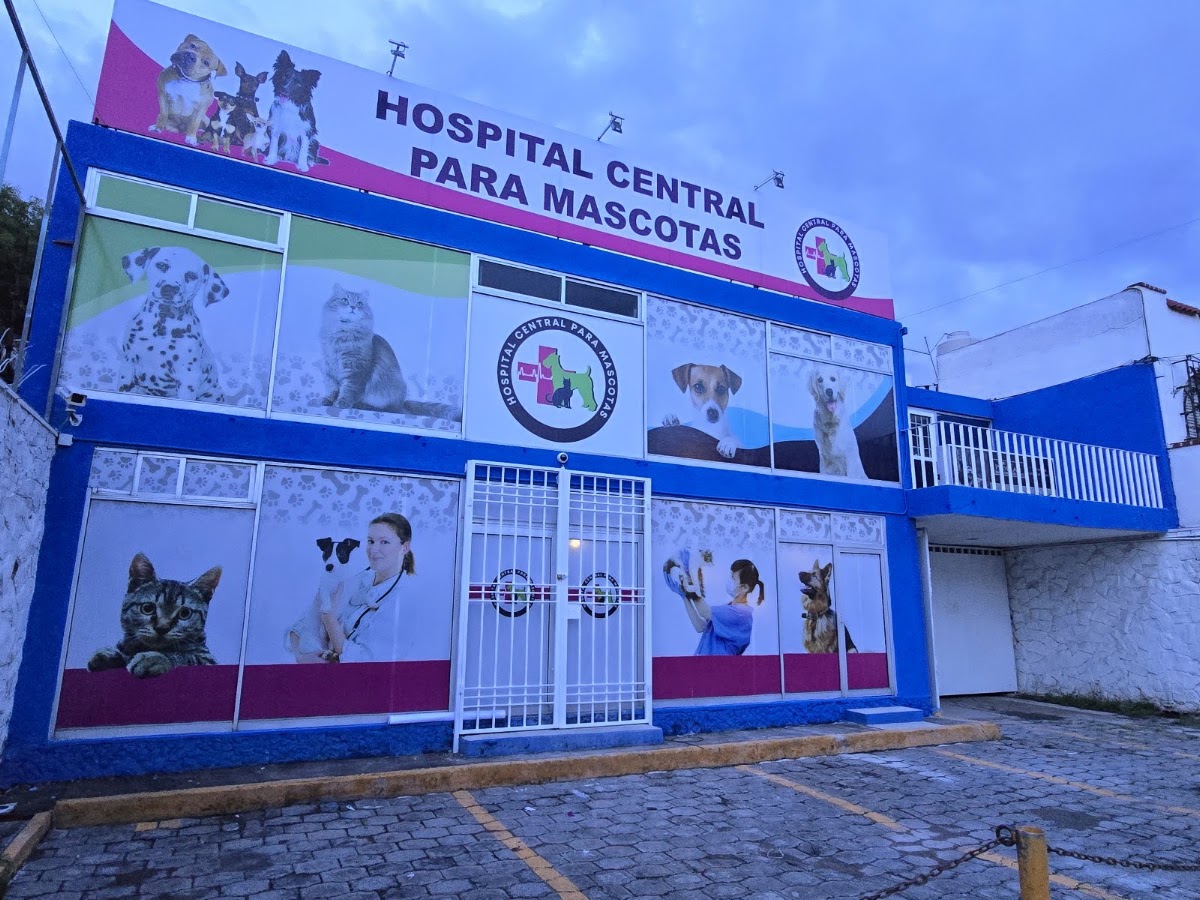 Hospital Central PARA Mascotas, Cholula