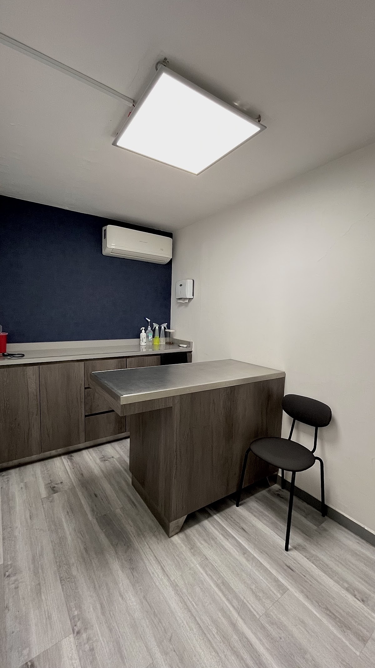 Servicios Veterinarios Eläin, Providencia