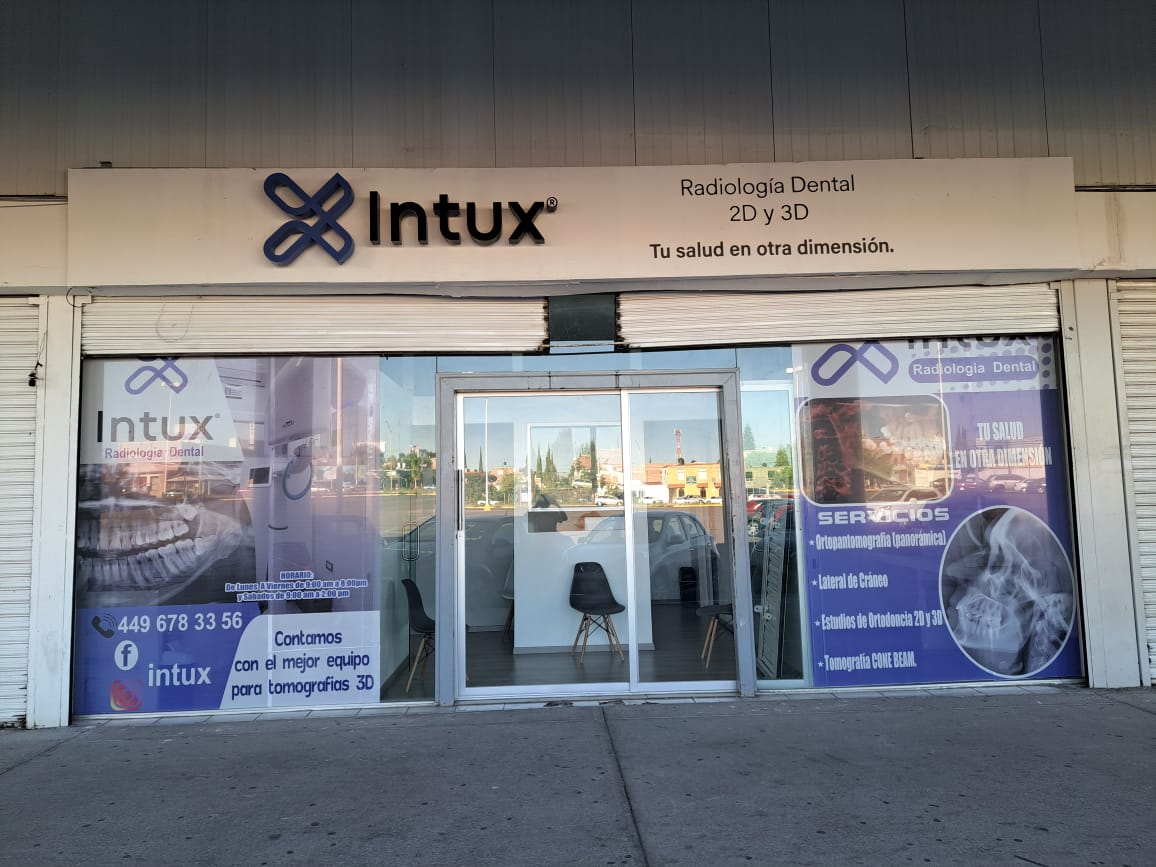 Intux Sur, Sur