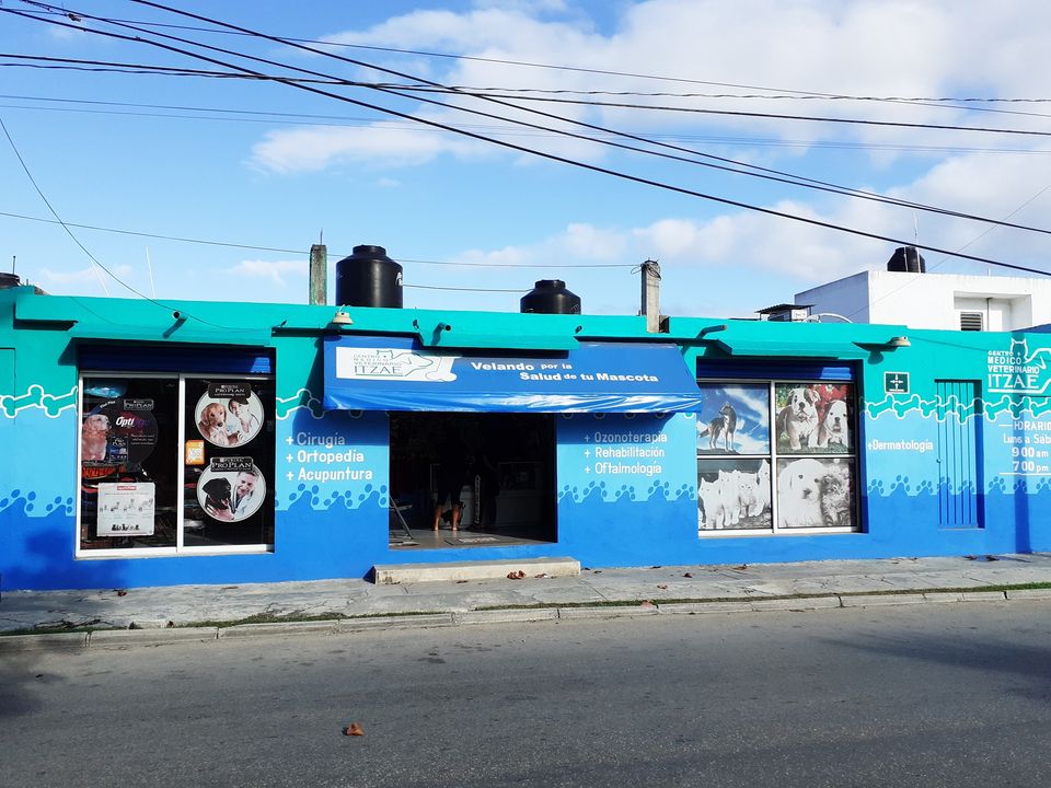 Centro Médico Veterinario Itzae, Otras zonas