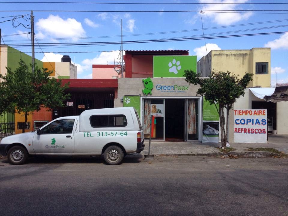 Clínica Veterinaria GreenPeek, Otras zonas