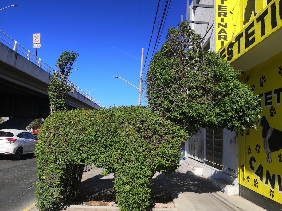 Clinica y Boutique Canina "Alf", Sur