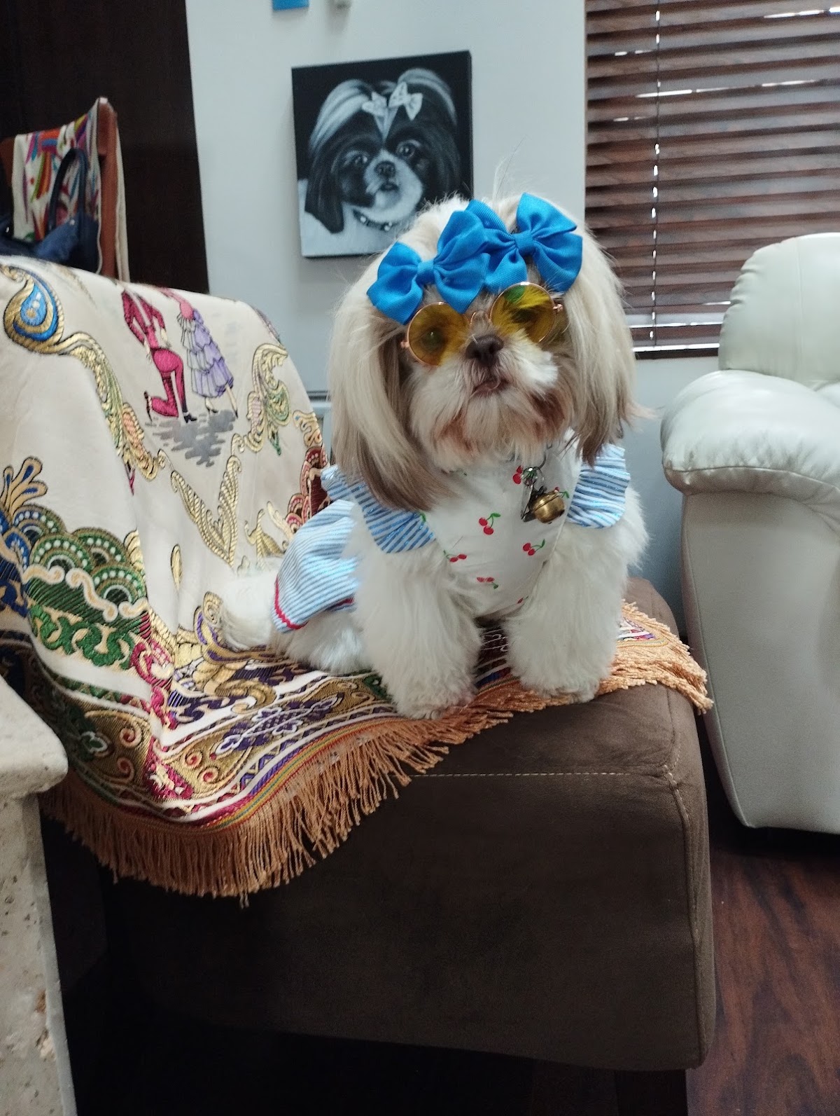 VetGotPet Veterinaria, Cumbres
