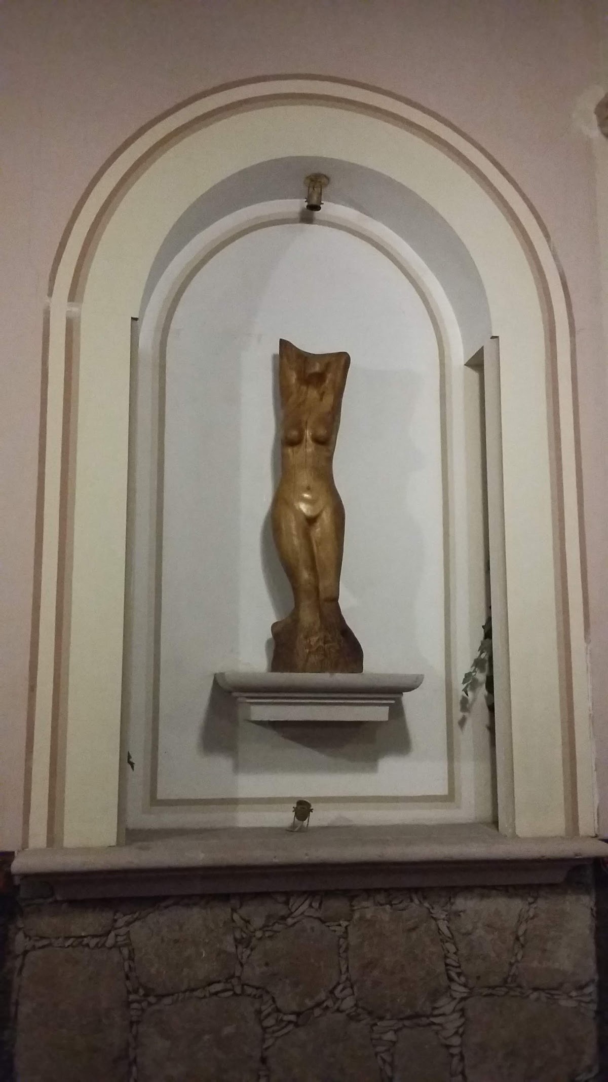 Medica Centro, Centro