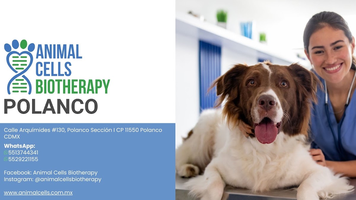 Animal Cells Biotherapy Polanco, Polanco