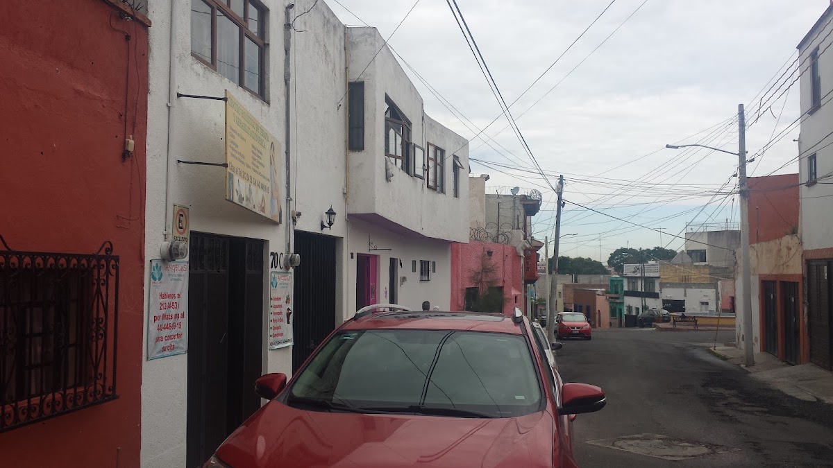 Clínica Veterinaria Clinivet, Otras zonas