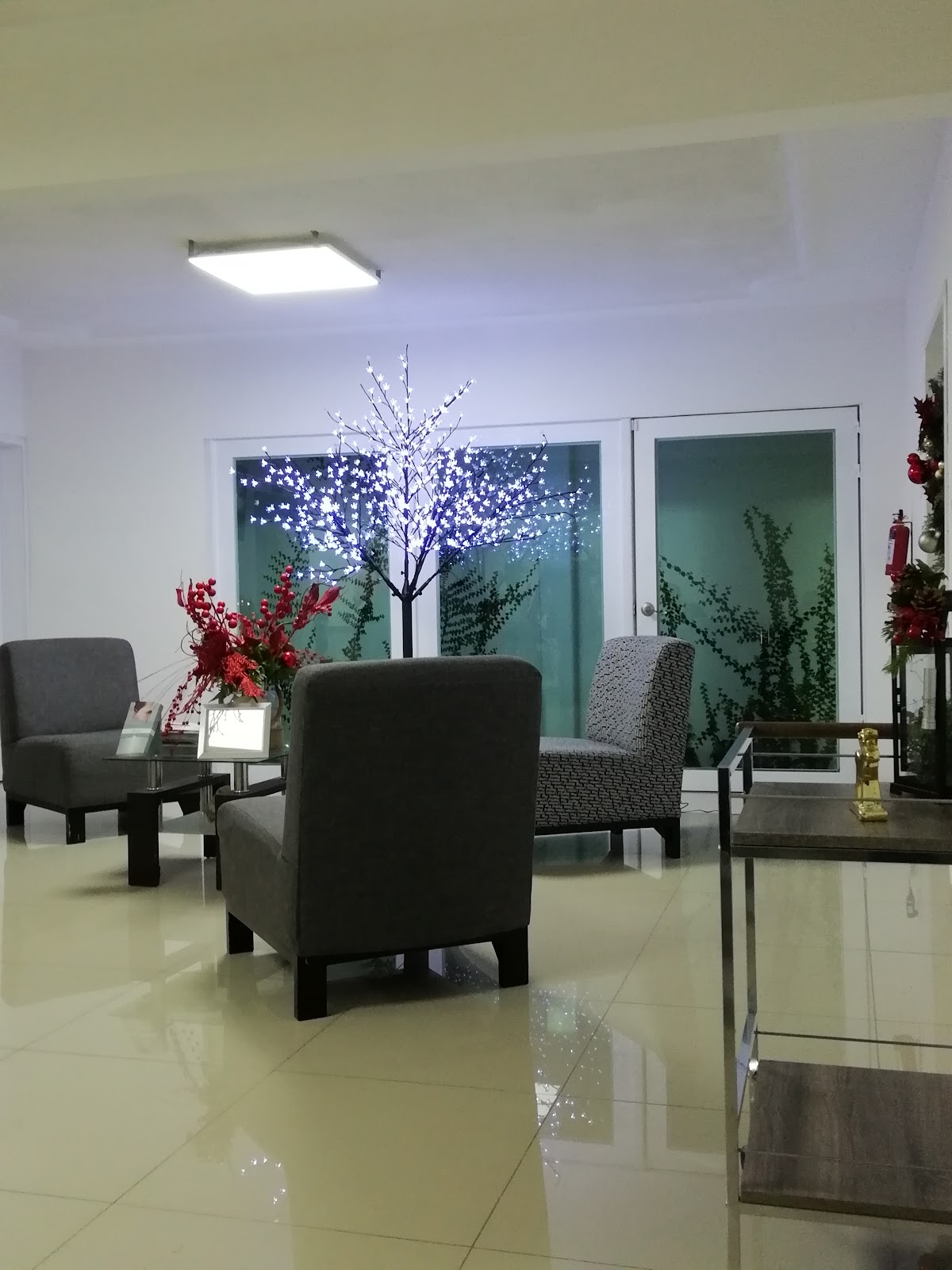 Dermatos Aguascalientes, Otras zonas