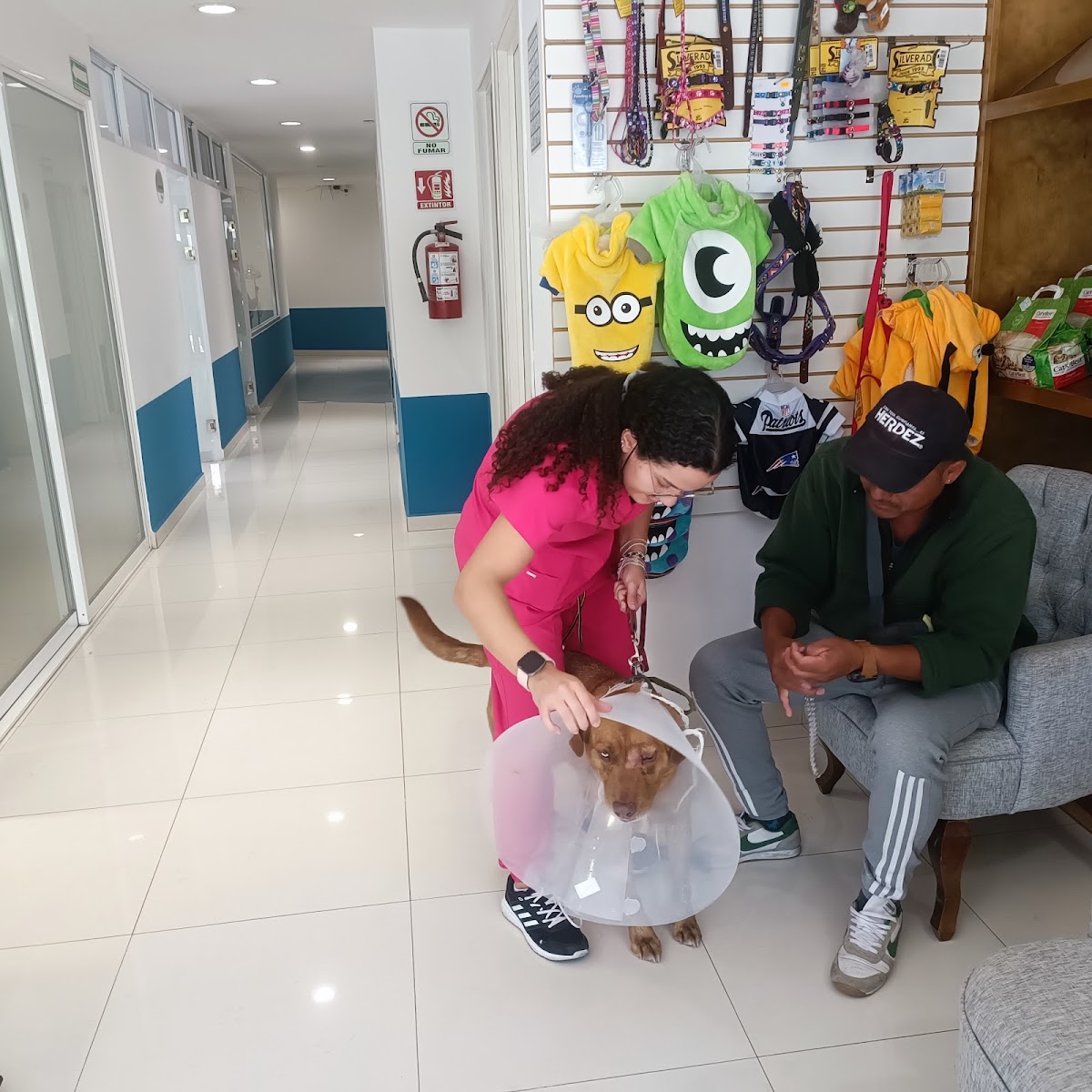Pet Path-Hospital Veterinario, Otras zonas