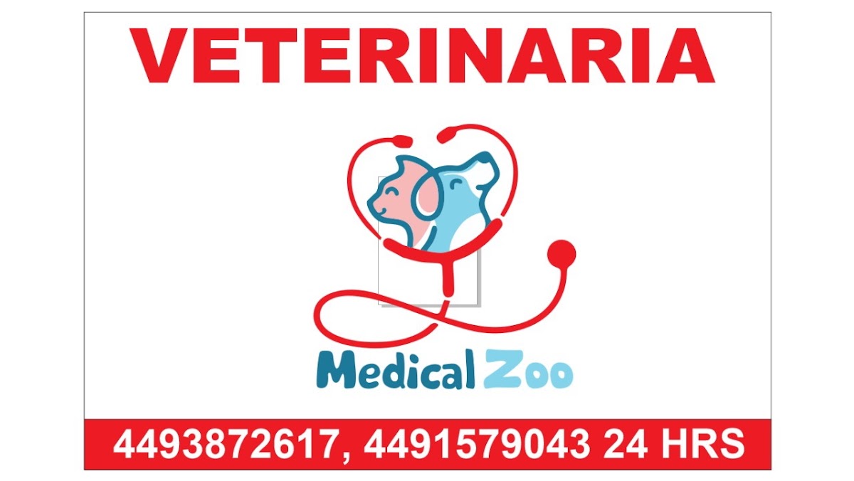 Veterinaria Medical zoo, Otras zonas