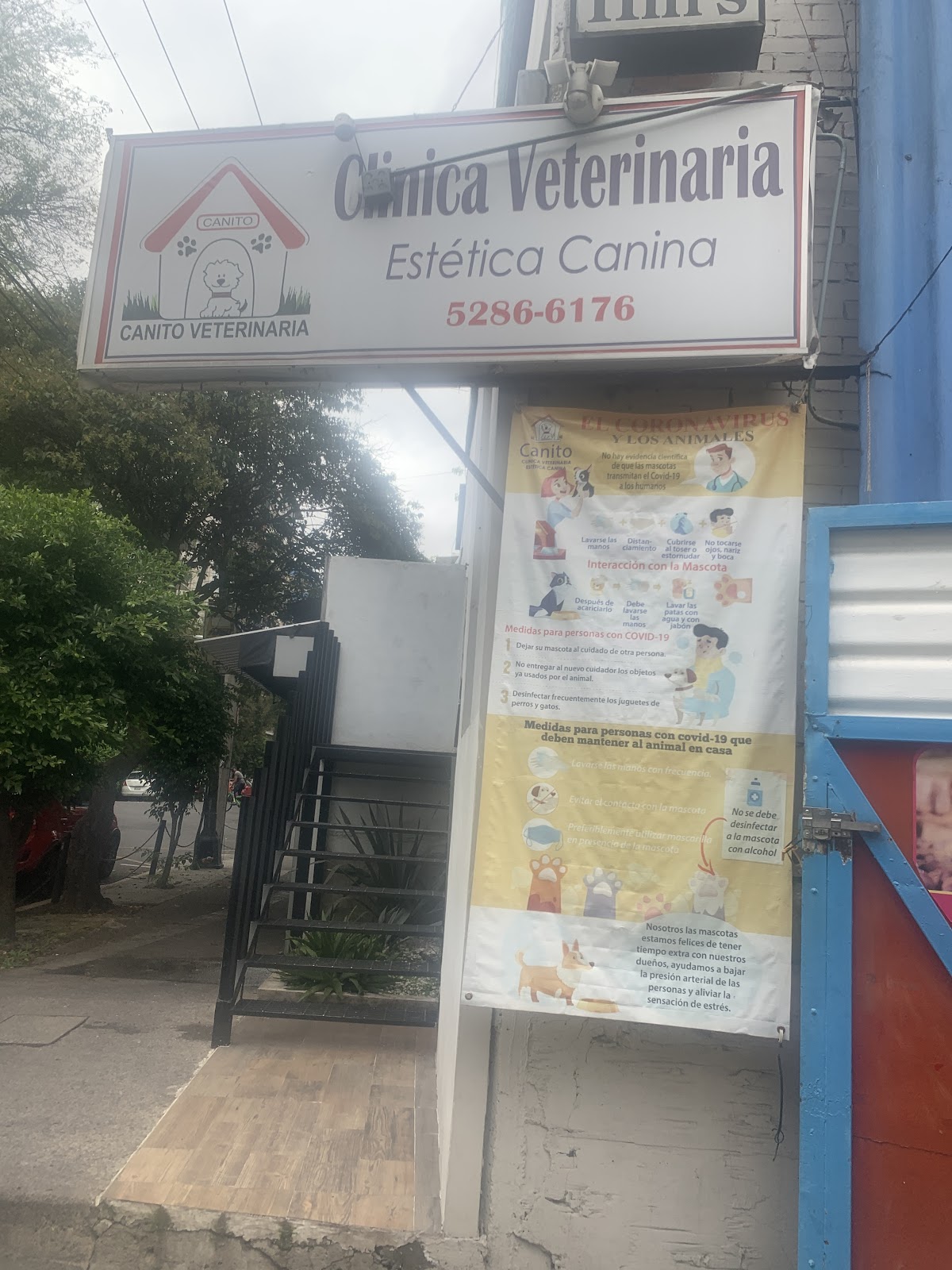 Veterinaria Canito, Condesa