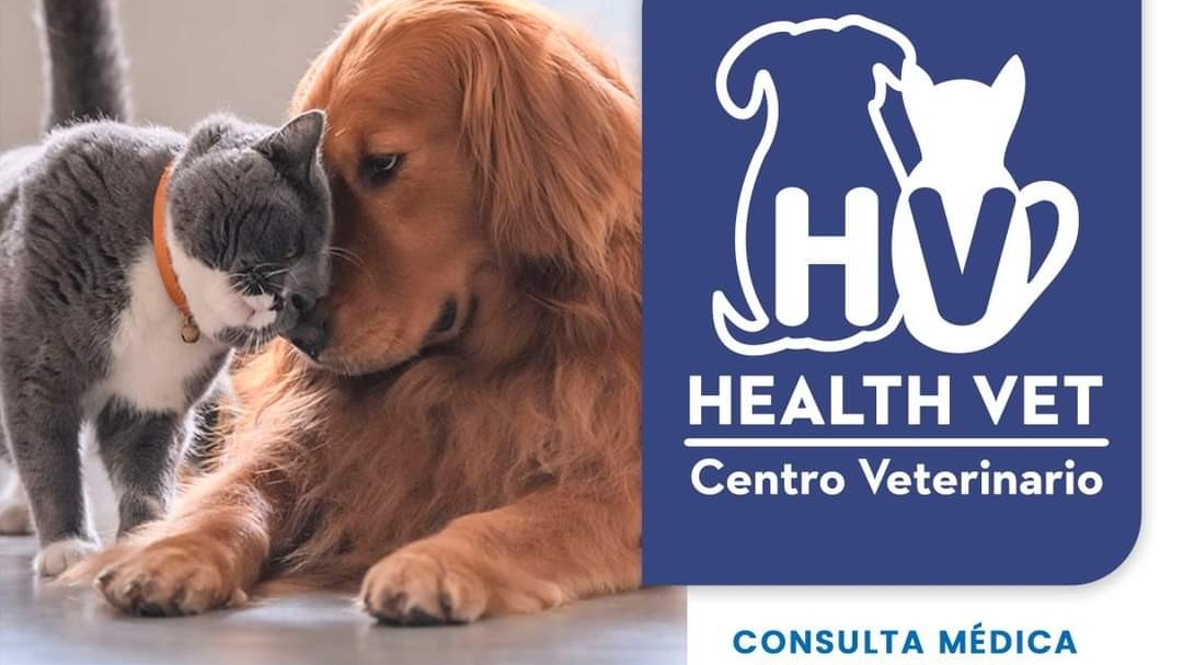 Health Vet Centro Veterinario, Otras zonas