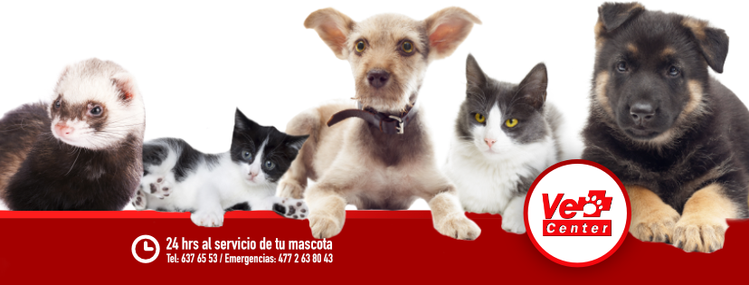 Vet Center León, Otras zonas