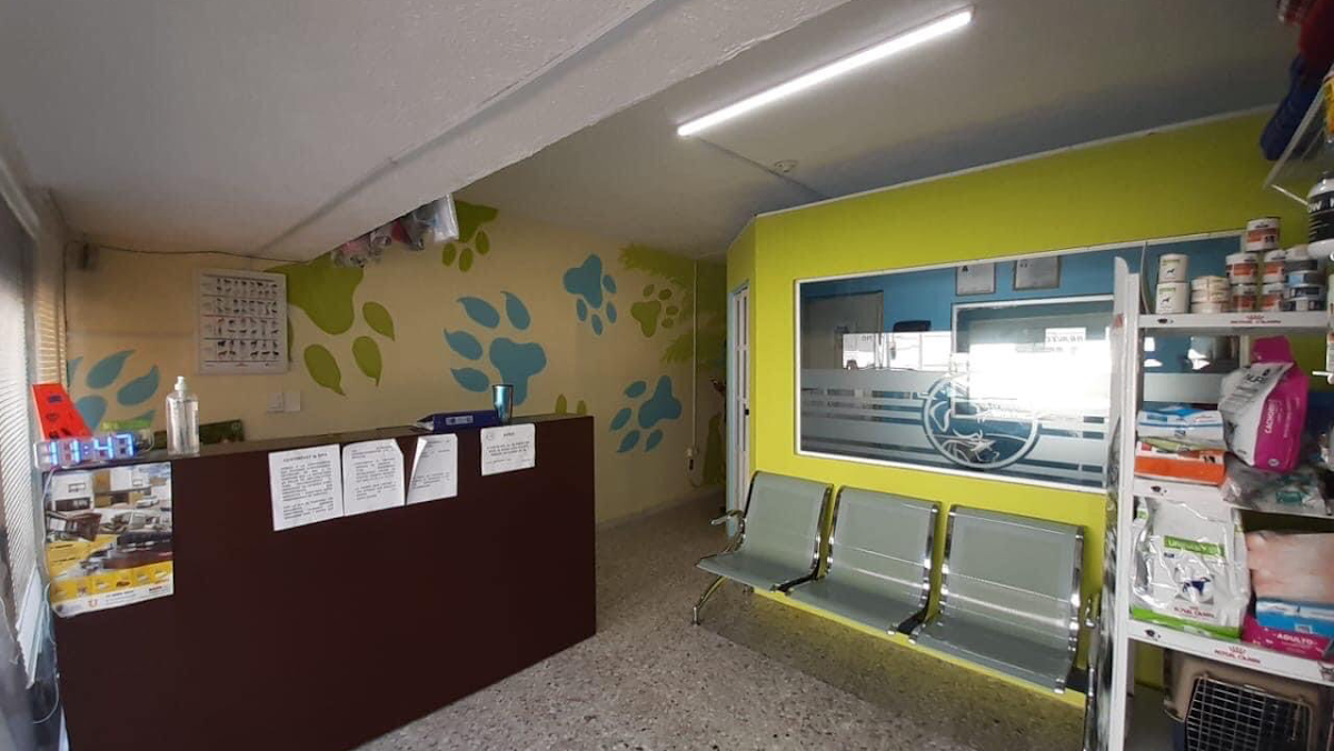 CentroVet & SPA, Otras zonas