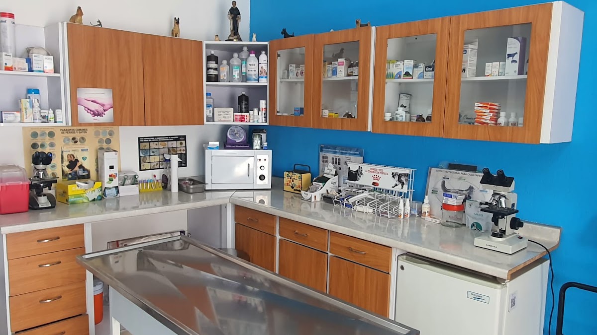 Pet Clinic Juriquilla, Juriquilla