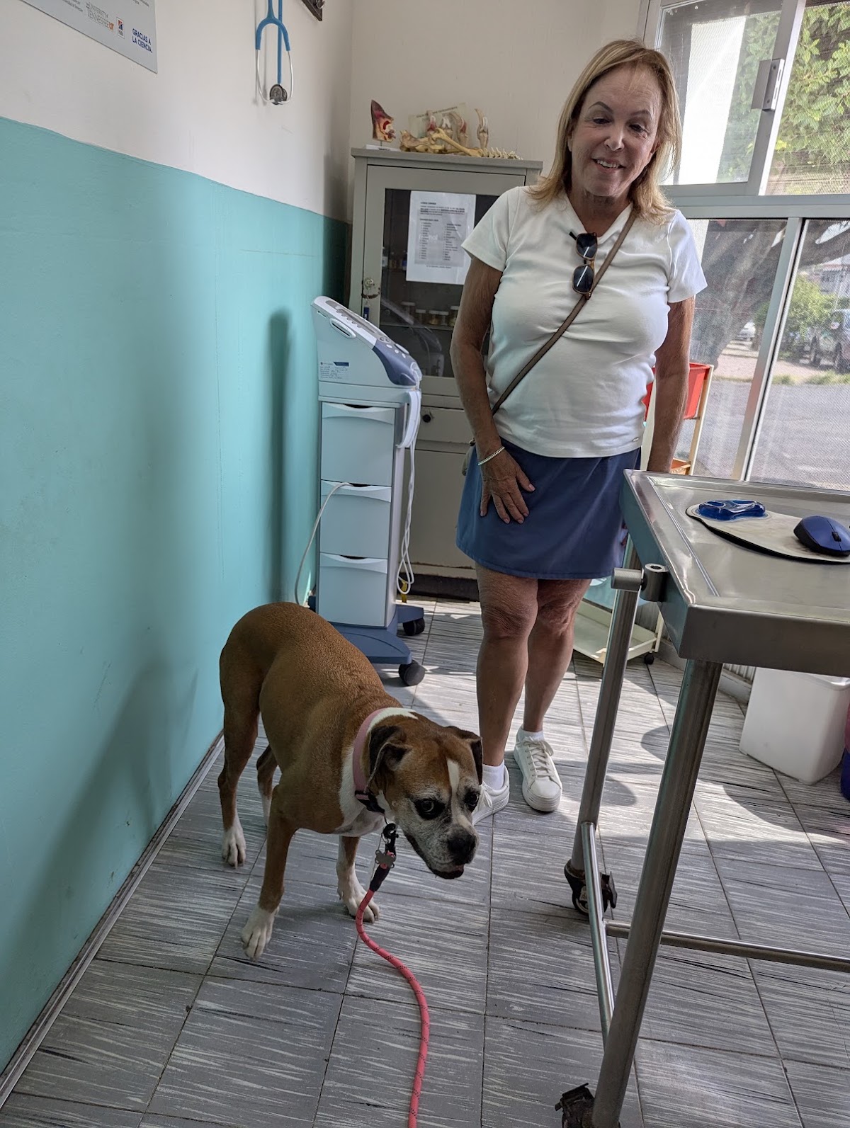 Clinica Veterinaria Animal Kingdom Suc.Porfirio, Otras zonas