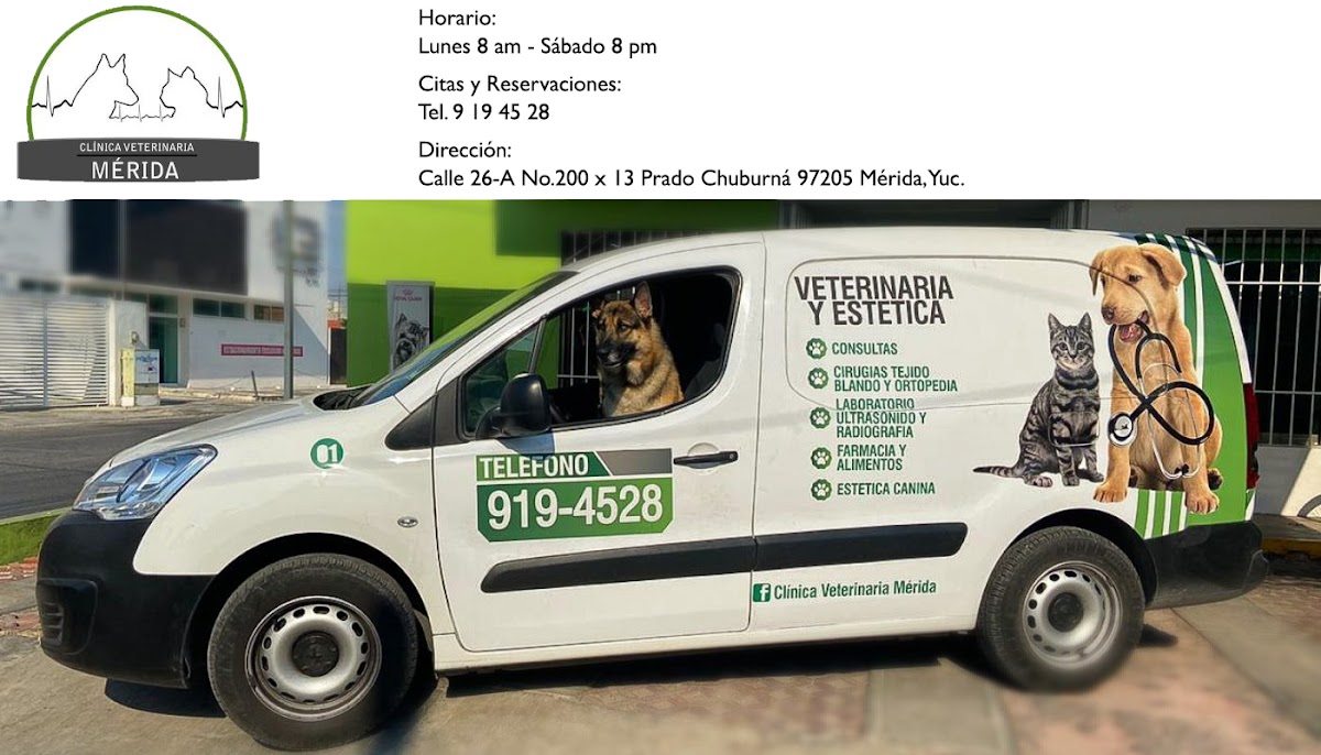 Clínica Veterinaria Mérida, Otras zonas