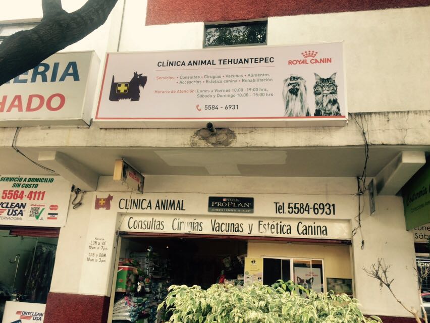 Clinica Animal Tehuantepec, Roma