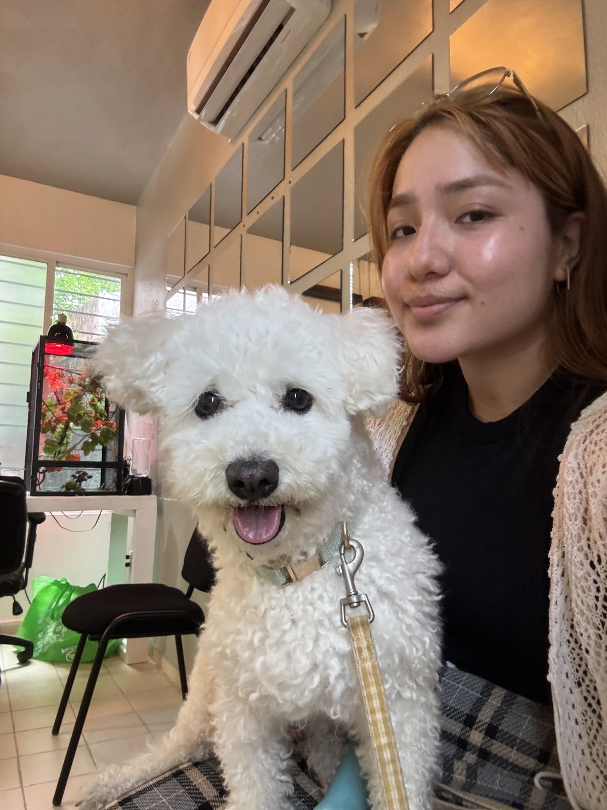 LOVET Clínica Veterinaria, Otras zonas
