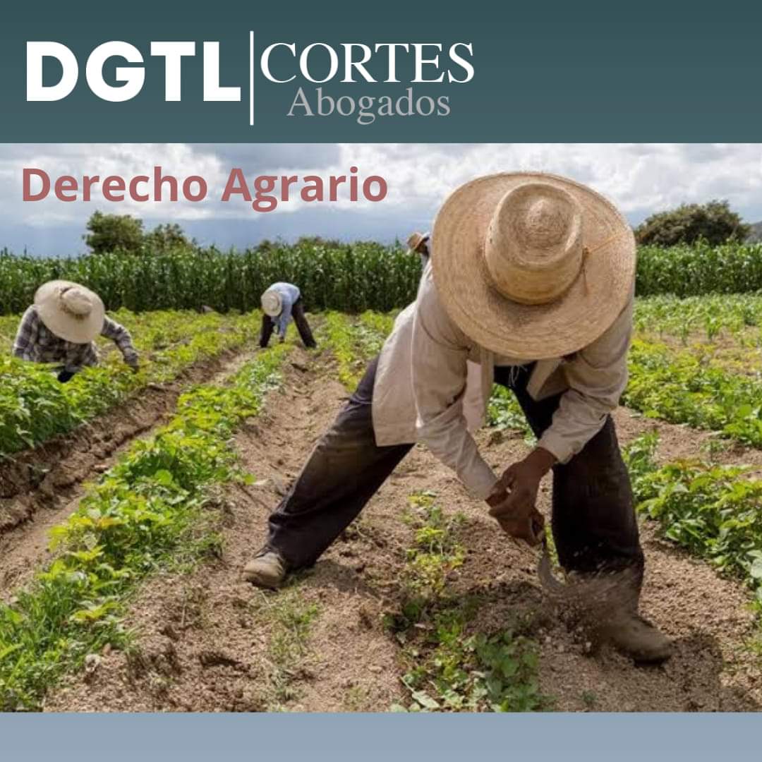 DGTL Abogados y Consultores, Otras zonas