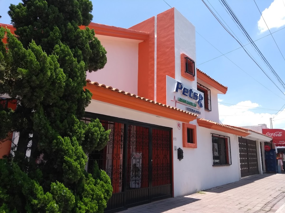 Hospital Veterinario Pets, Otras zonas