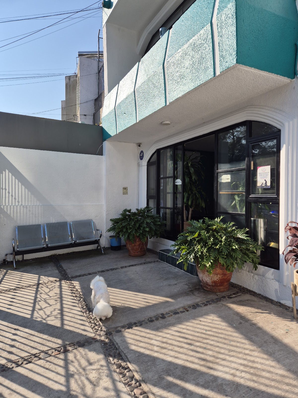 Hospital Veterinario San Javier, Providencia
