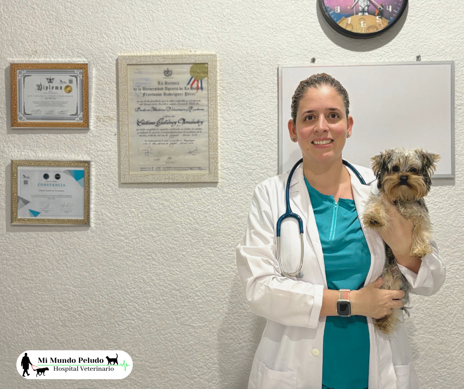 Mi Mundo Peludo - Hospital Veterinario, Otras zonas