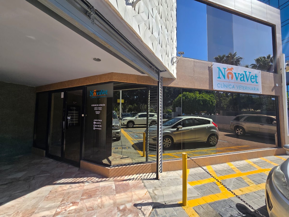 NovaVet clinica veterinaria, Zona Río