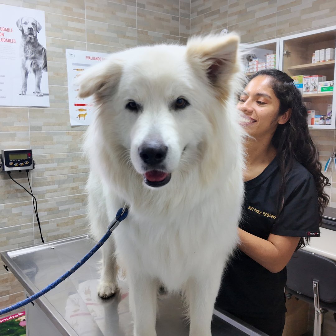 TOY´s Clínica Veterinaria, Juriquilla