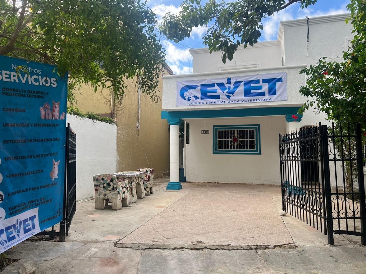 CEVET- Clínica Especializada Veterinaria, Altabrisa