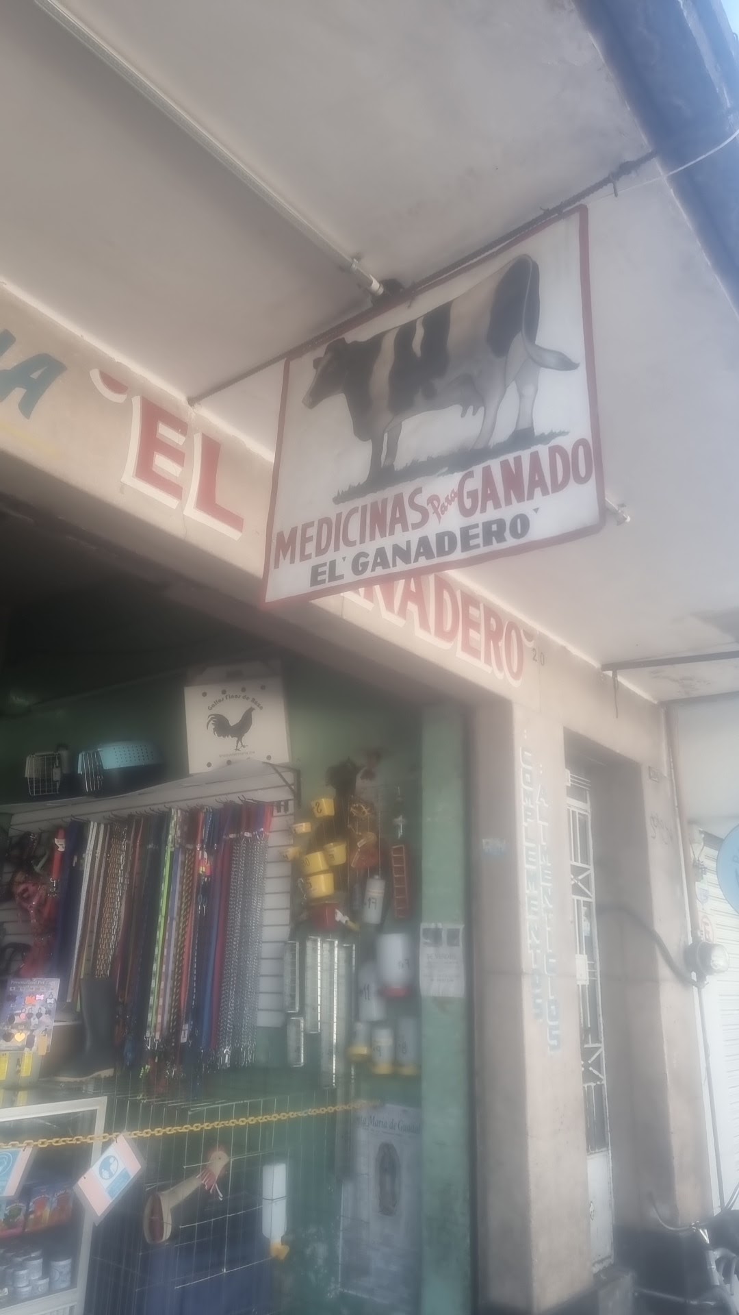 Veterinaria El Ganadero, Centro