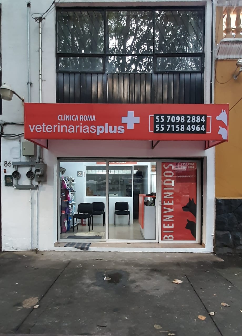 Veterinarias Plus Clínica Roma, Especialistas en Perros, Gatos y Fauna Exótica, Roma