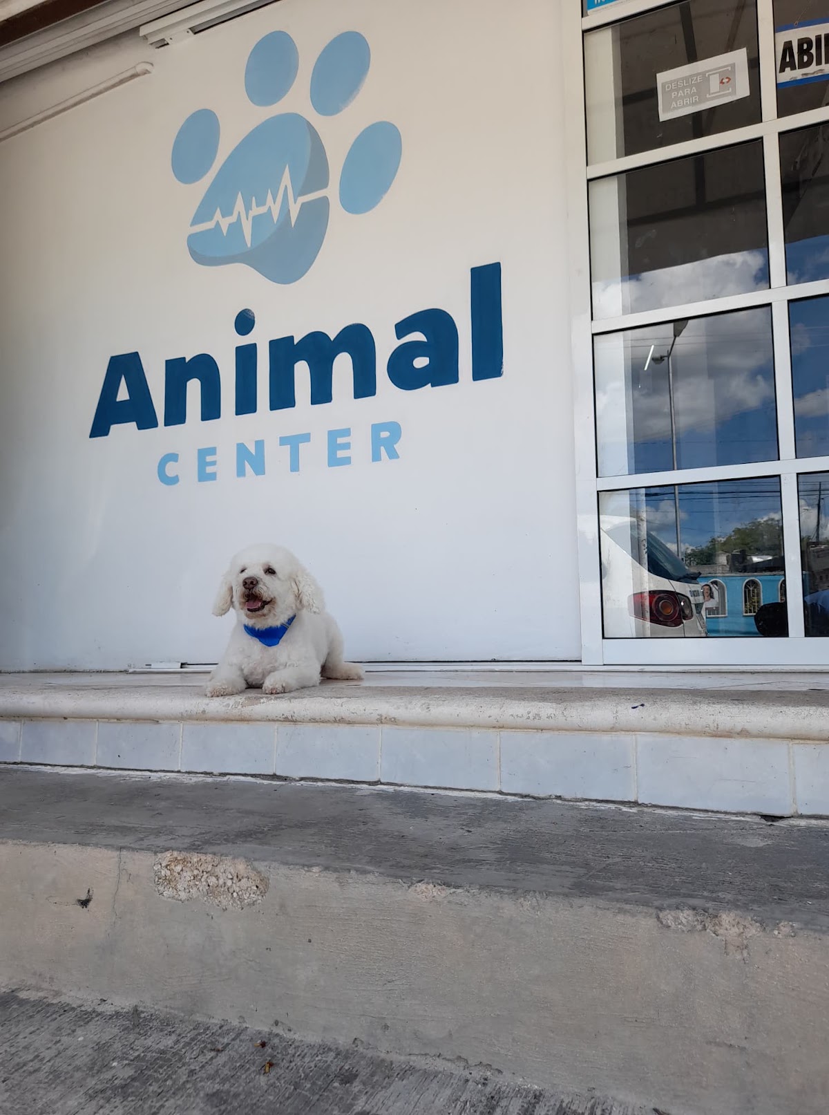 Animal Center, Otras zonas