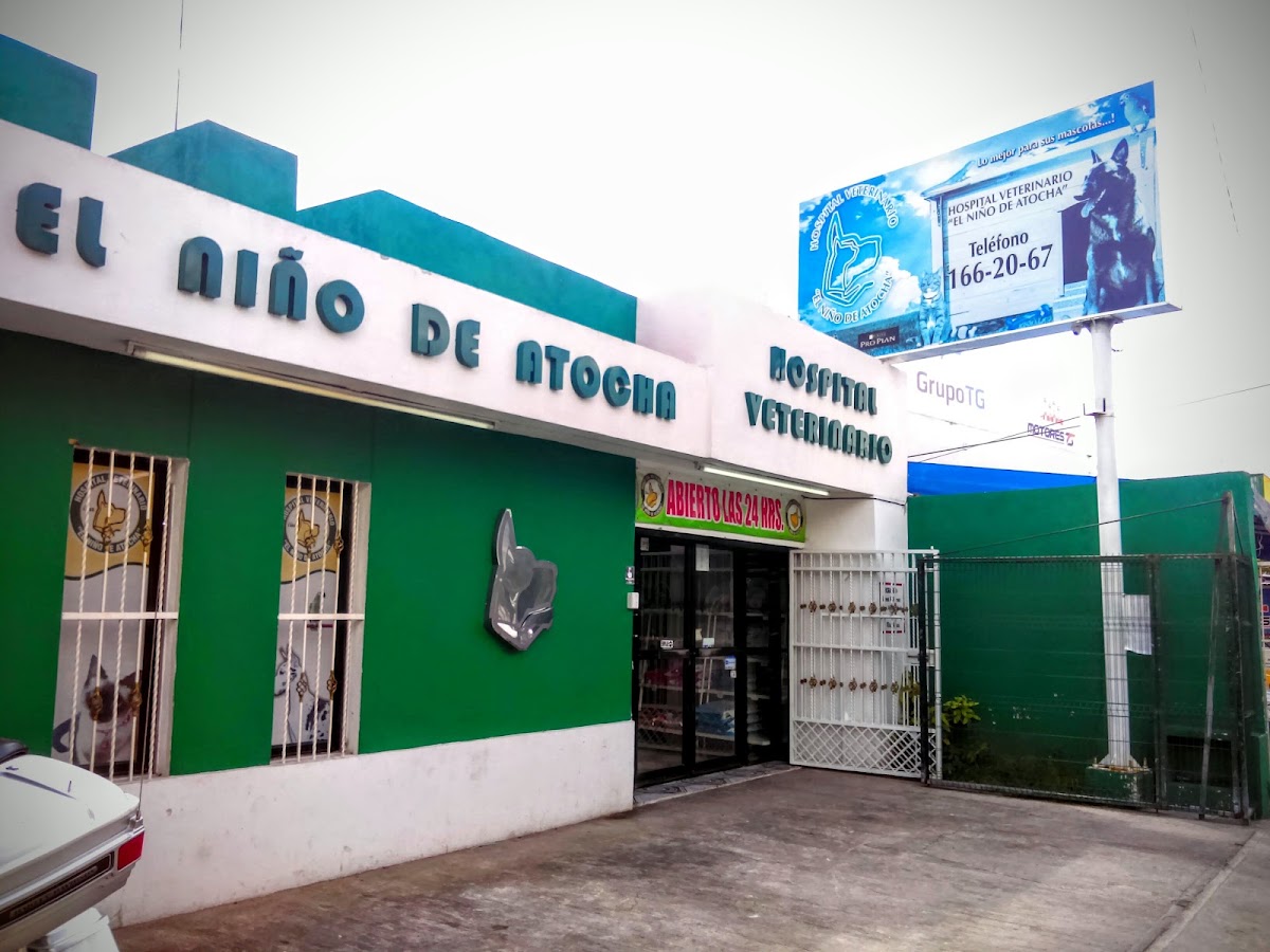 Hospital Veterinario+ EL Niño DE Atocha, Otras zonas