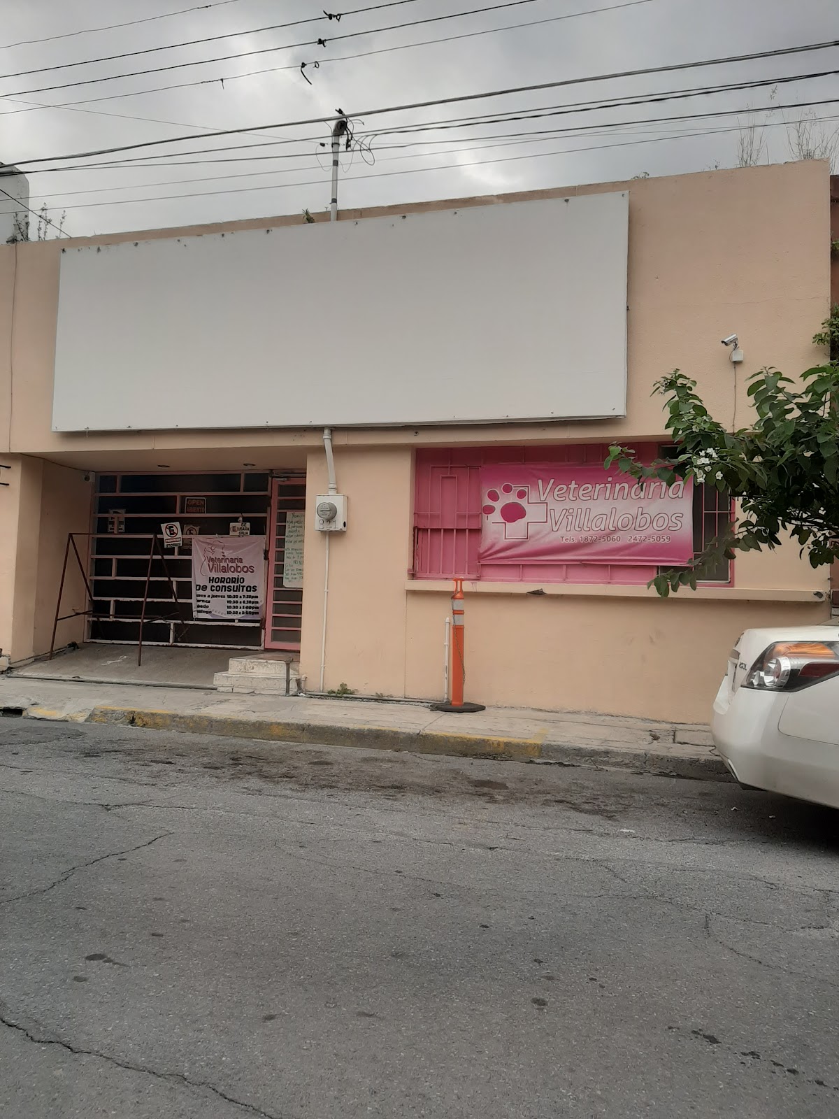 Veterinaria Villalobos, Centro de Monterrey