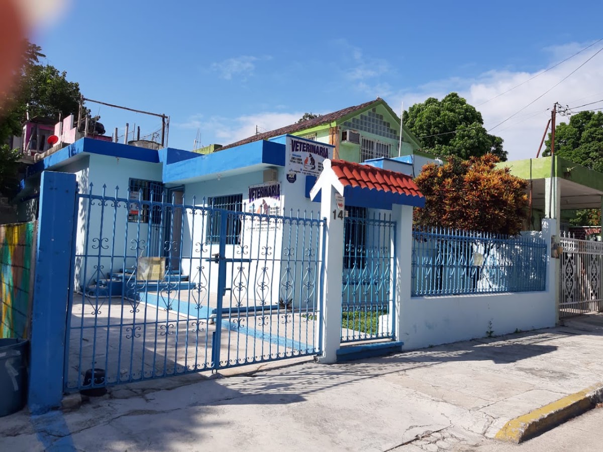 Animal Vet, Centro de Cancún