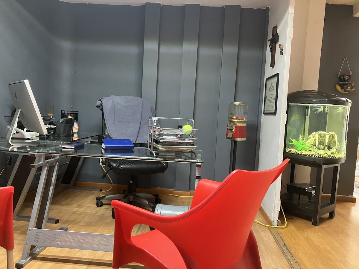 Cirujano Dentista Dr. Francisco Figueroa, Otras zonas