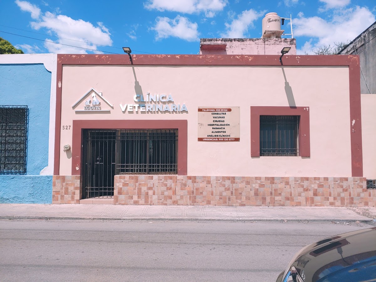 ZOOVET, Centro de Mérida
