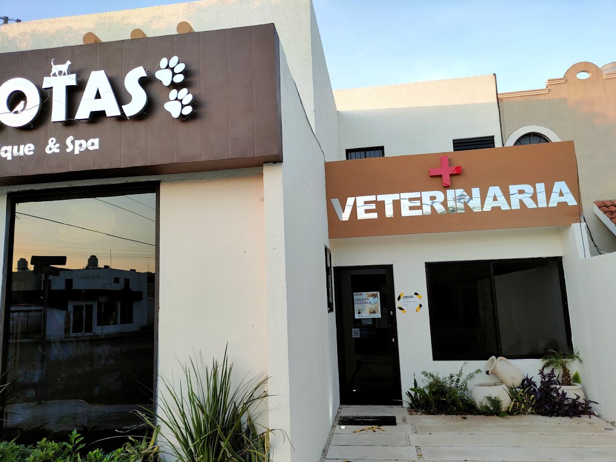 Clínica Veterinaria Mascotas boutique & spa, Altabrisa