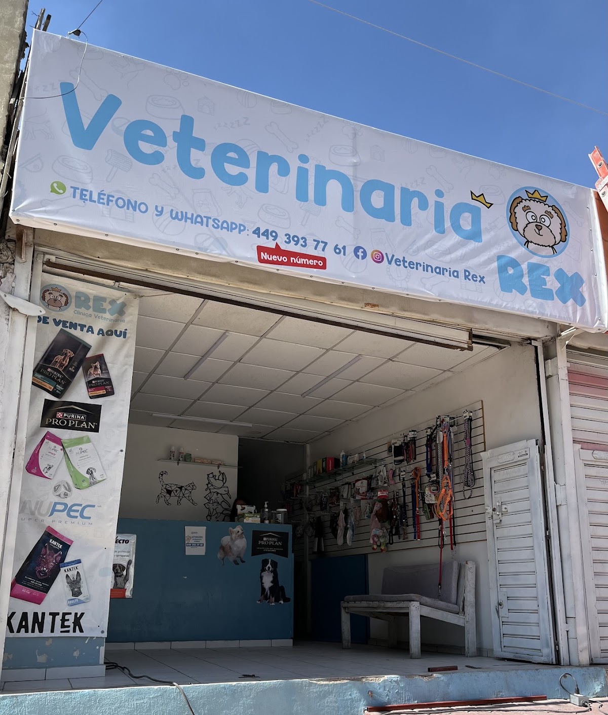 Clinica Veterinaria REX, Otras zonas