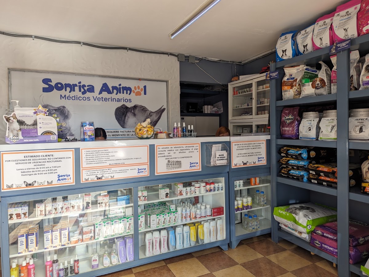 Sonrisa Animal, Cholula