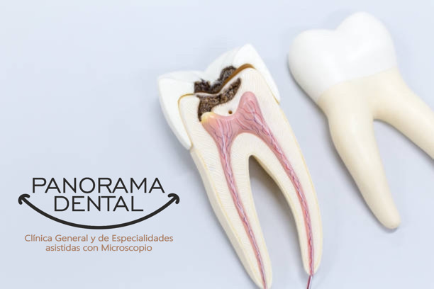 Especialista en Dolor Dental - Endodoncia Dra. Navarro, Campestre