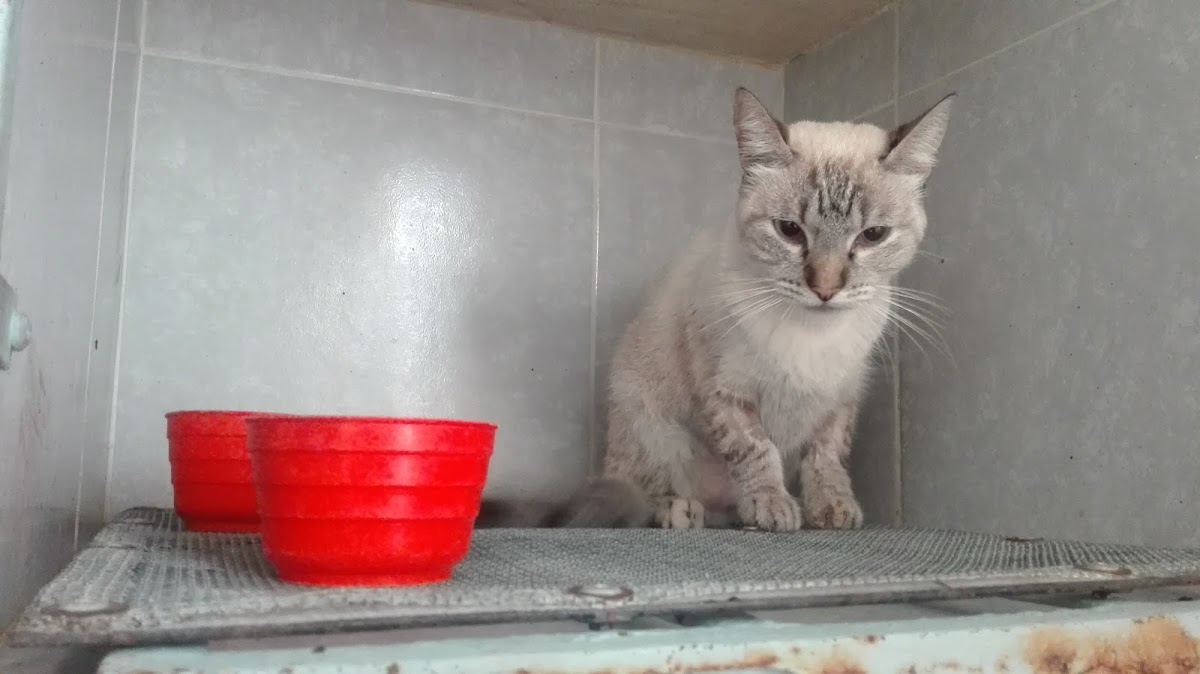 Veterinaria De la Rosa, Otras zonas