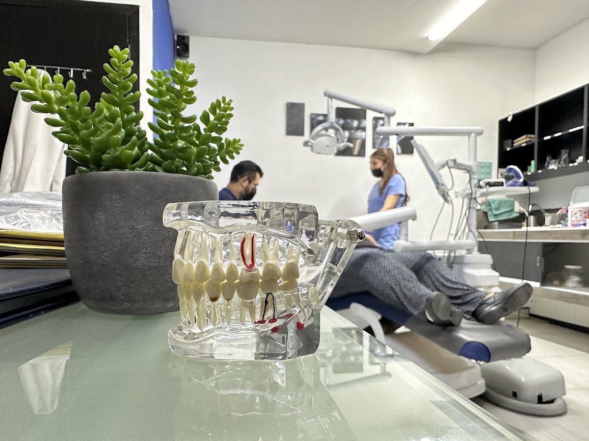 Hospital de Dientes, Centro