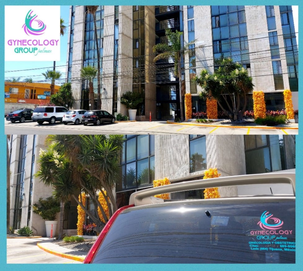 Gynecology Group Palmas, Otras zonas