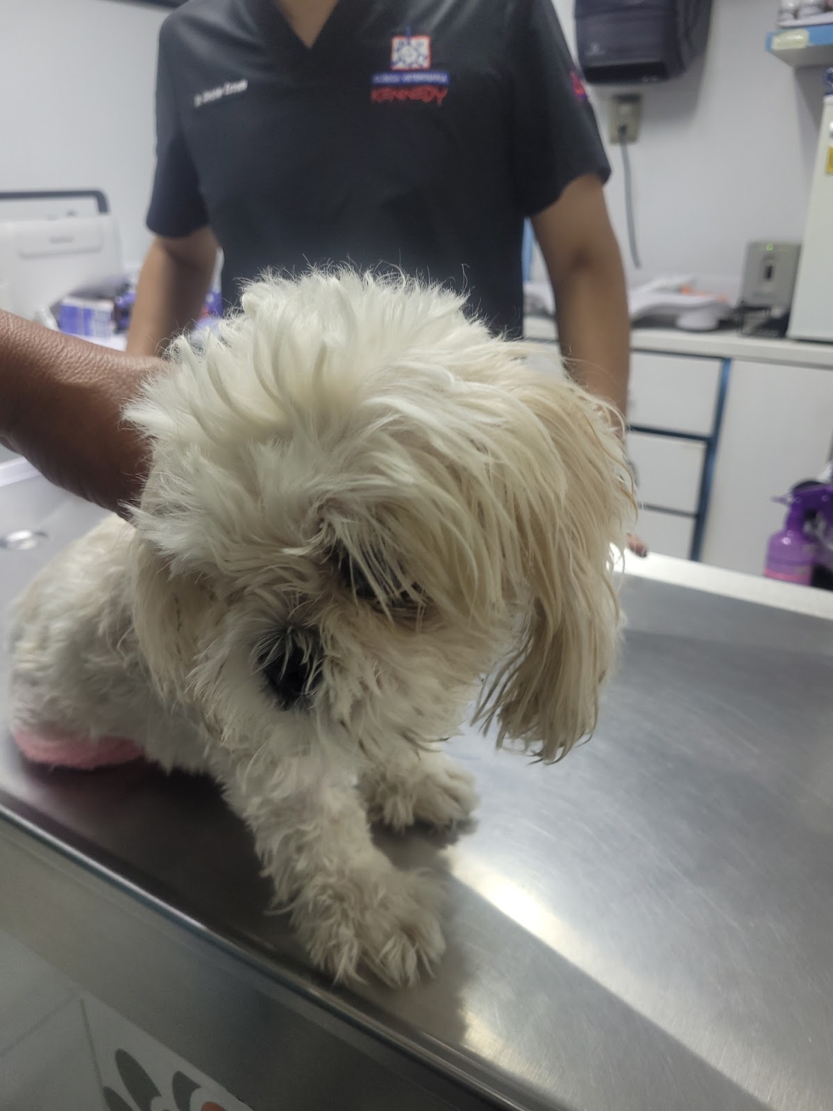Clínica veterinaria kennedy, Otras zonas