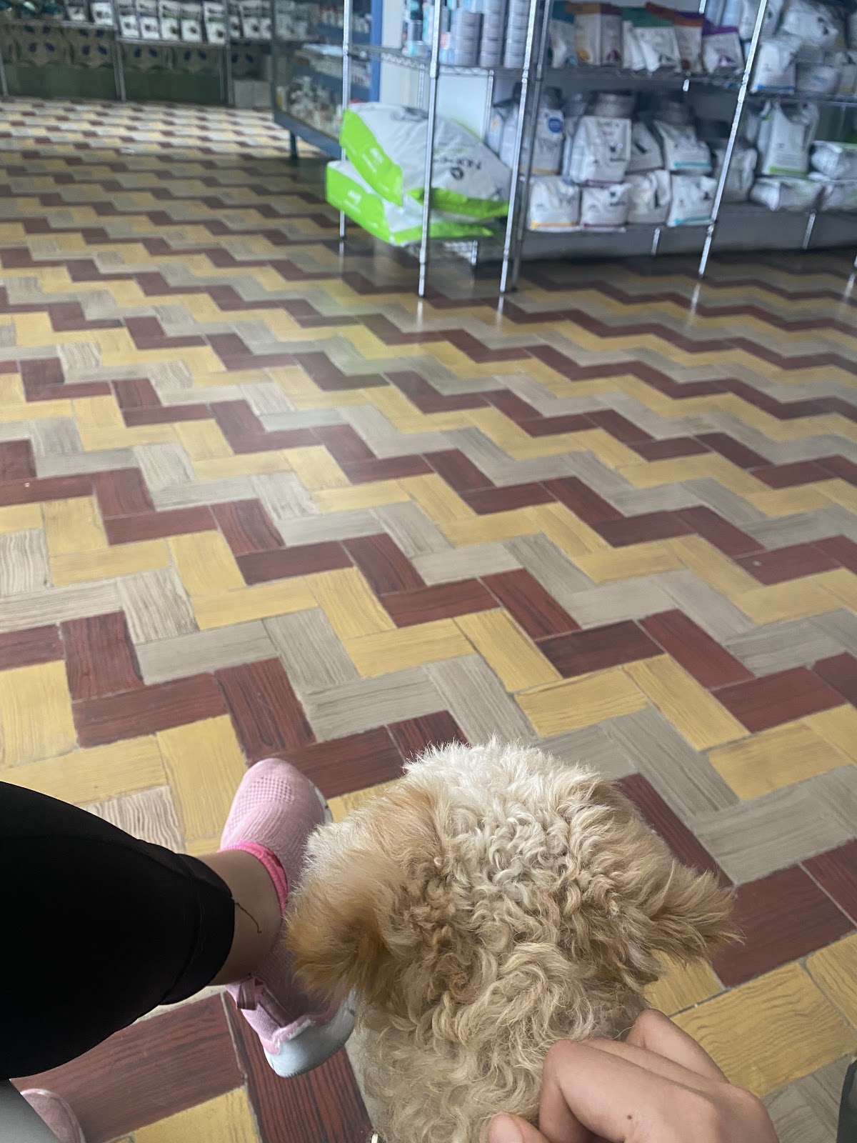 Veterinaria Moya, Centro de León