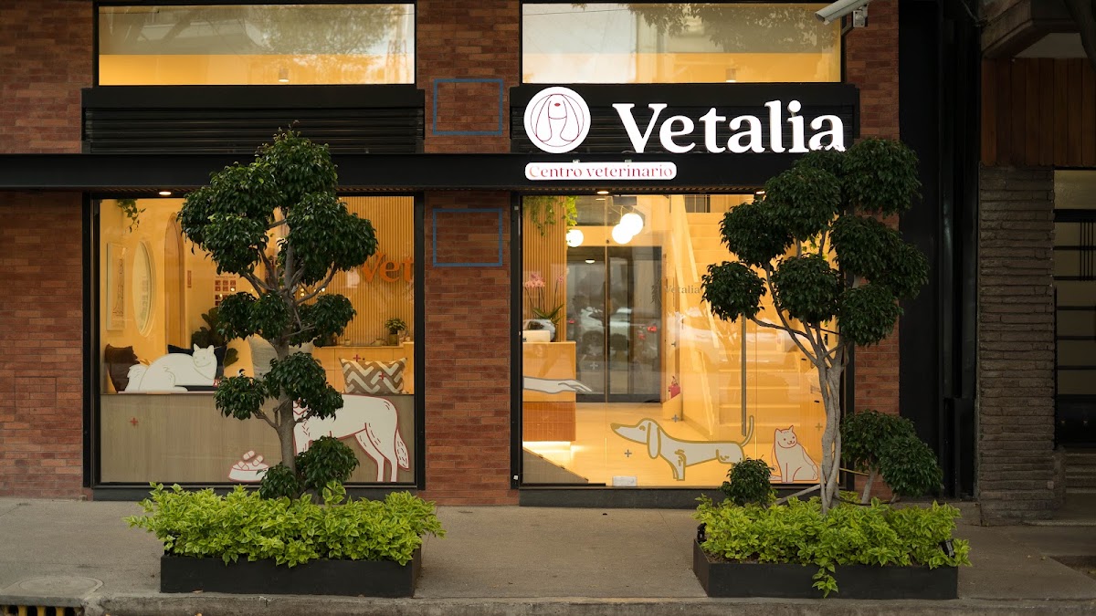 Vetalia Condesa - Hospital Veterinario 24 horas, Condesa