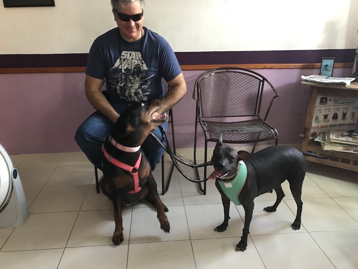 Clinica Veterinaria Dr Rene Guzman, Otras zonas