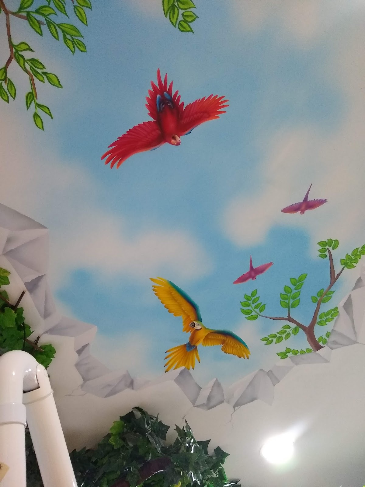 Dental Natura •En Gran Plaza Cancún, Otras zonas