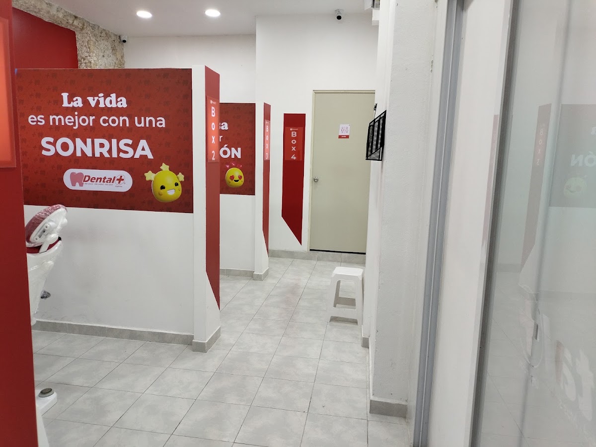 Dental Más - Clínica Dental, Centro de Mérida